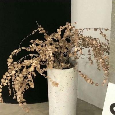 二次元兽设设计技巧兽圈群